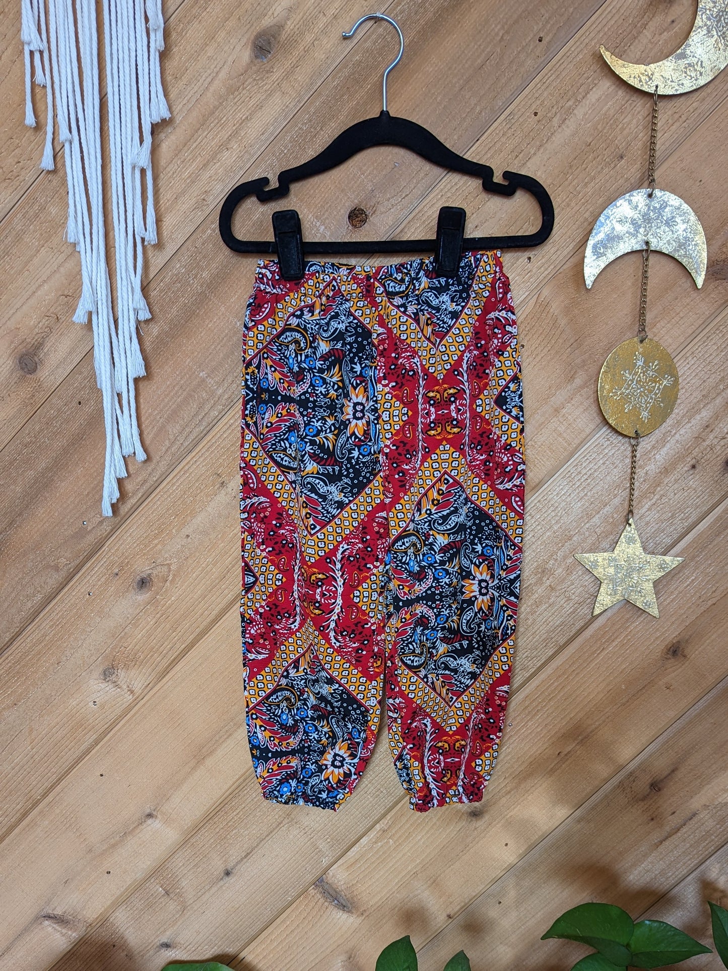 A pair of paisley print pants in red and blue, elegantly displayed on a wooden wall.